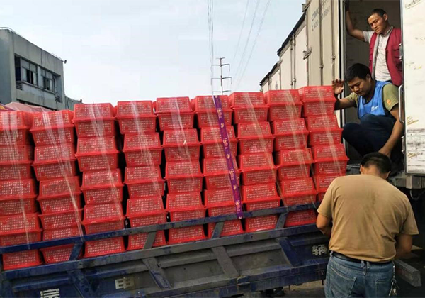 未標題-1.png 未標題-1.png