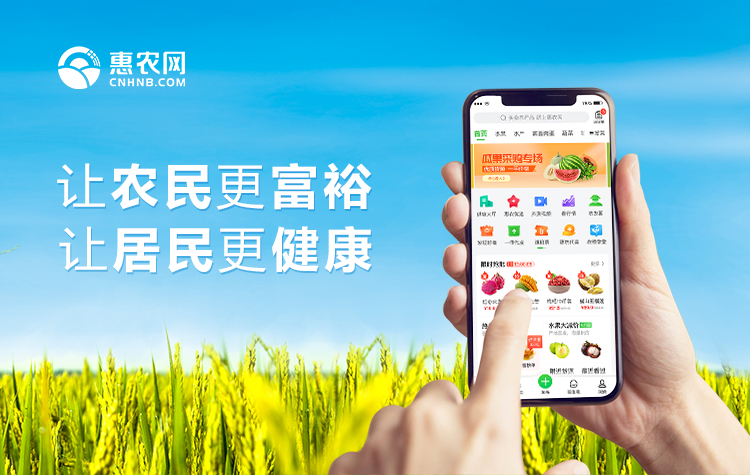 紅網 | 惠農網：電商培訓讓農村人才在家門口做天下生意