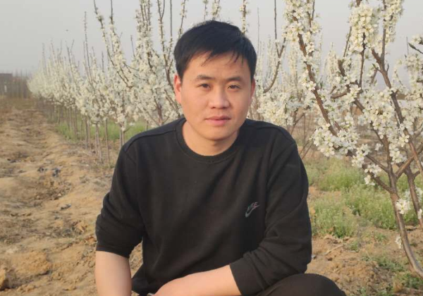 惠農網發起“保耕行動” 苗木商家不誤春風銷新綠