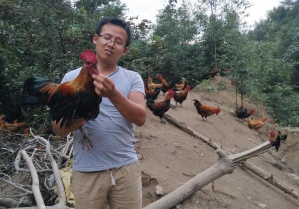 養雞場里的百萬商機：專訪洞口縣80后明星創業夫妻羅麗芳、劉柏連