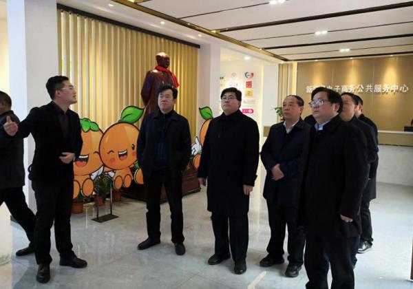 新寧：隋忠誠考察電子商務公共服務中心 惠農網電商扶貧成果獲好評