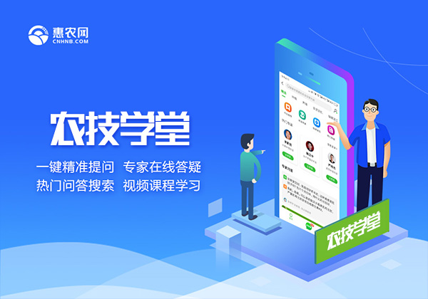 從B2B交易到農技知識服務 惠農網始終與一線農民站在一起