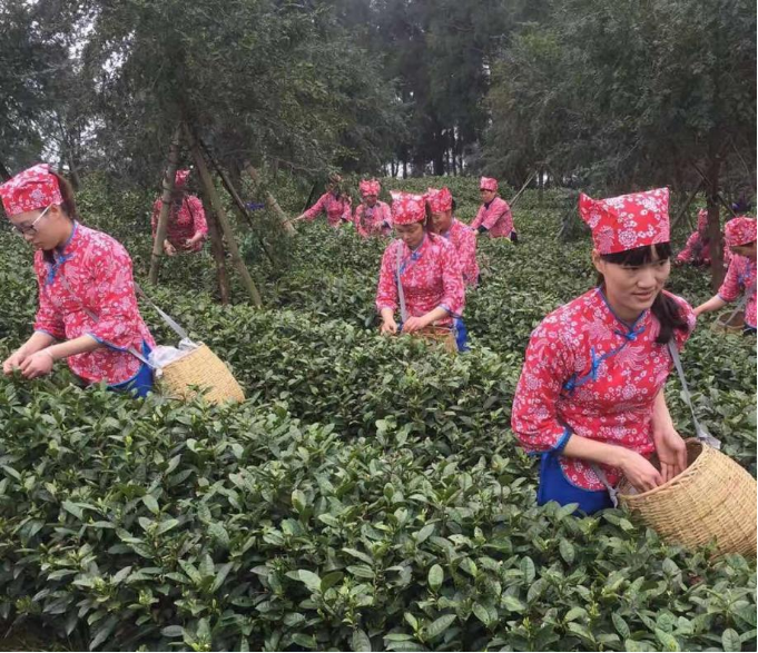 1629856971(1).jpg 1629856971(1).jpg