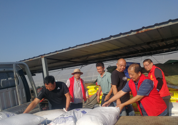 暴雨洪澇后農業生產怎么辦？惠農網農技專家做了這件事