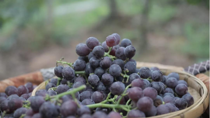 1633921964(1).jpg 1633921964(1).jpg