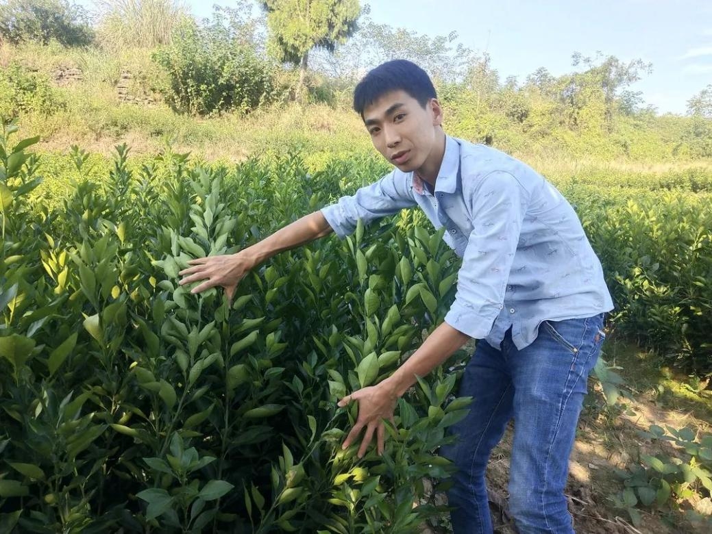 新農(nóng)人的2021年怎么樣？看惠農(nóng)網(wǎng)這5位商家怎么說