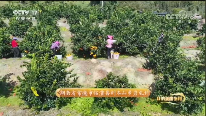 1649404921(1).jpg 1649404921(1).jpg