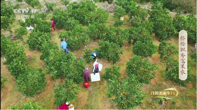 1649404936(1).jpg 1649404936(1).jpg