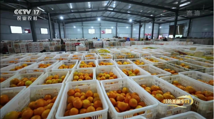 1649404972(1).jpg 1649404972(1).jpg