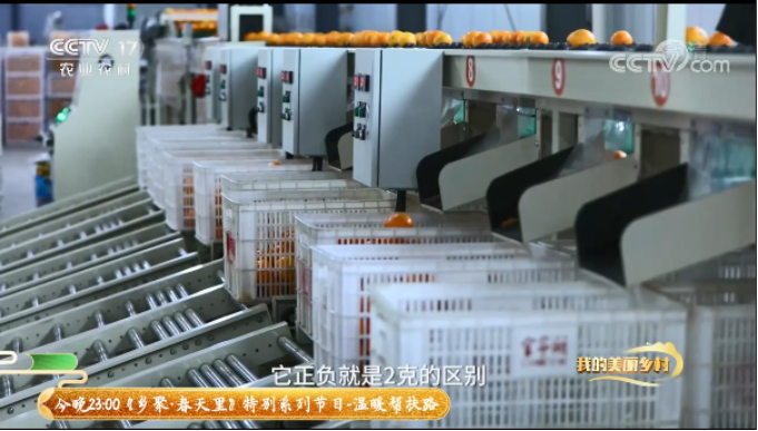 1649404986(1).jpg 1649404986(1).jpg