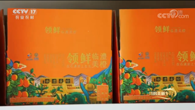 1649405043(1).jpg 1649405043(1).jpg