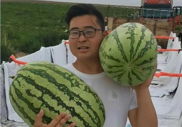 惠農網商家鄭新穎：月銷2000噸的秘訣偷偷告訴你