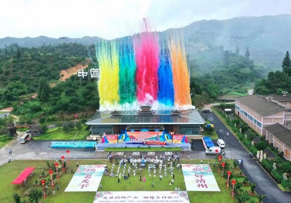 惠農網近千位電商站長齊助力 靖州楊梅“紅”遍全國