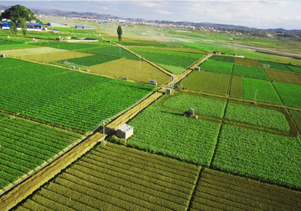 農業農村部辦公廳關于開展2022年全國休閑農業重點縣申報和監測工作的通知