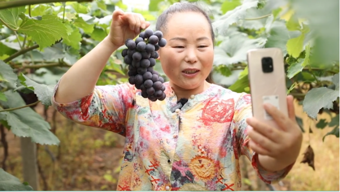 1659338465708.jpg 1659338465708.jpg