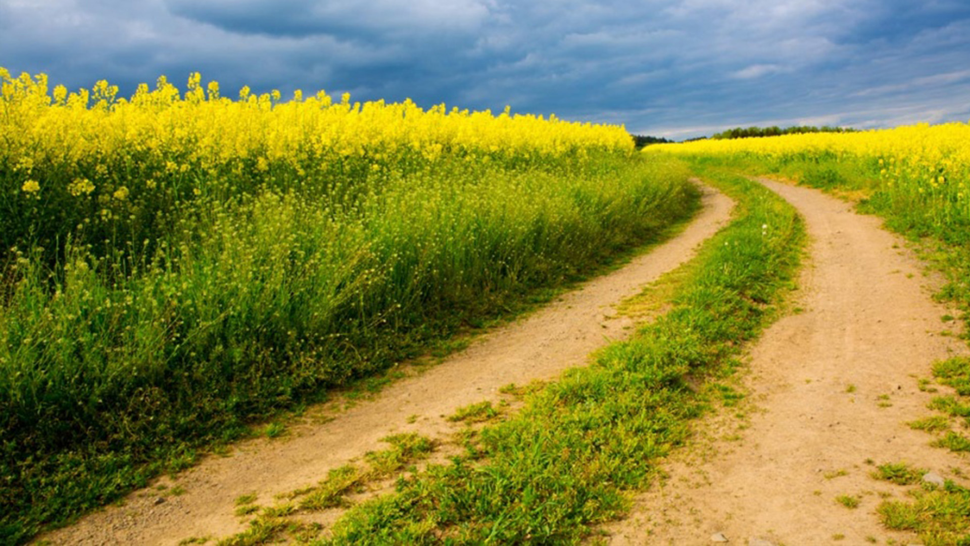 中央財辦等部門關于推動農村流通高質量發展的指導意見