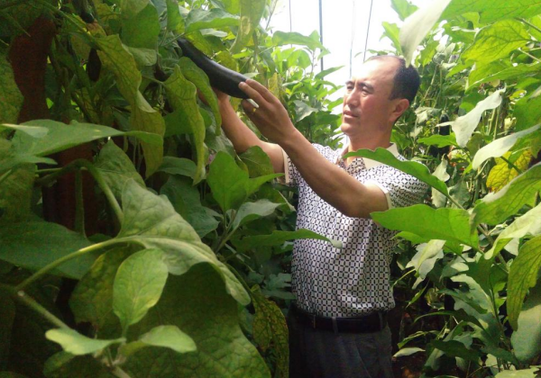 惠農(nóng)網(wǎng)農(nóng)技專家孟玉智：花式送技，千里之外解民憂