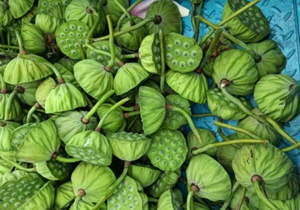 小單品賣到平臺全國熱銷第一！這個70后農三代如何點“蓮”成金