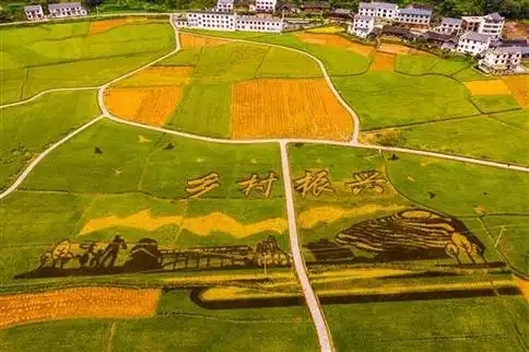 鄉(xiāng)村全面振興規(guī)劃(2024—2027年) 鄉(xiāng)村全面振興規(guī)劃(2024—2027年)