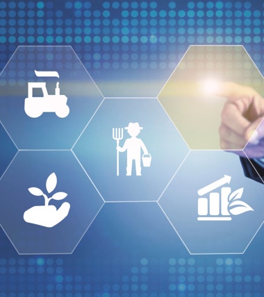 惠農網企業(yè)文化