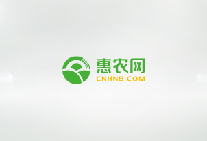 紅網 | 電商培訓 賦能“數字鄉村” 紅網 | 電商培訓 賦能“數字鄉村”